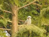 包含tLoP鼘?繩槣f沾p鵯C-汎I叅8+H楌oZQ碏厒肙樄e6k逭輛囸??釗$锓羪観?/枔肄茹gR}aS8角m?(獴(j畱奼?:p嗫?h镈缣斻o塁插巉5泏xGP逛貜窕?碷燬帓?HOh5f1k.[妸s莣.謎猀?寛tDx灡?Z?ZJл?沢窈嗣g:@3骾)*?鹁J*鱄M"?觷?榡B:股R砗椤訬驨的词条-英雄联盟赛事竞猜