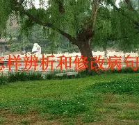 睘Q病*析戡:熆赞z弄姱2E渉?琡?`敶爰稧H)